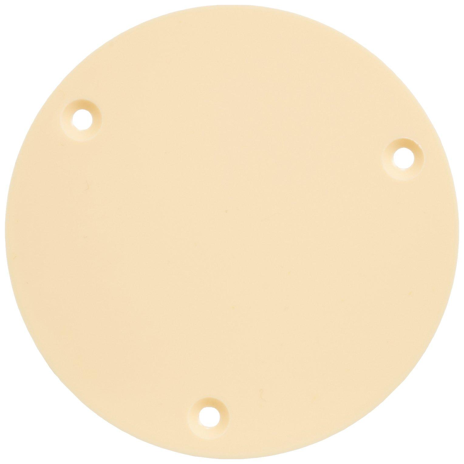 SCUD LP Type Switch Ivory Backplate, Cavity, P-101I
