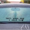 Auto Decorative Accessories Car Window Bumper Stickers Car Window Sticker Car Exterior Decal Waterproof Sticker