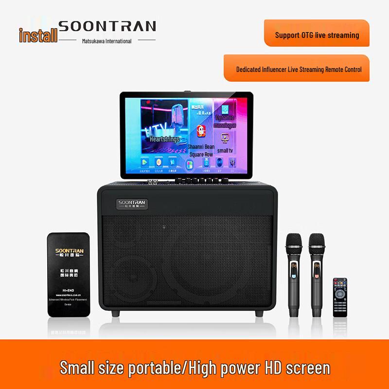 Portable Outdoor KTV Karaoke Speaker System with Dual Mics