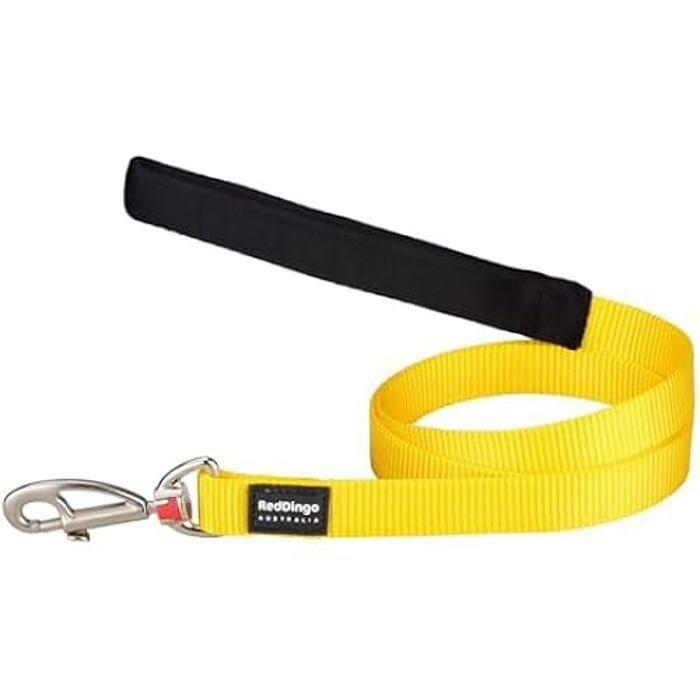 Laisse Pour Chien - RED DINGO - Jaune - Nylon - Poignée Rembourrée - Clips Interchangeables
