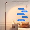 Oeny Retractable LED Floor Lamp