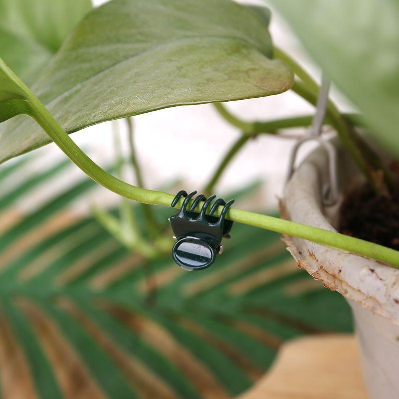 100pcs Garden Plant Clips Plastic Support Orchid Stem Clip for Vine Vegetables Flower Tied Bundle Branch Clamping Garden Tool