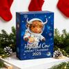 Astronaut Highland Cow Advent Calendar 24 Days Acrylic Ornament Box with Space Themed Surprises Christmas Countdown Decor for Kids