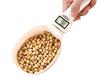 Electronic Measuring Spoon Up to 800 Hdwr Wagpro-K800G