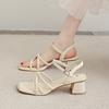 2025 Gentle wind leak toe strap fairy sandals women's word summer new Roman shoes French thick heel temperament