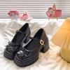 With Skirt Thick Heel Single Shoes Temperament Small Leather Shoes Women's Spring and Autumn Korean Version of Internet Celebrity Mary Jane Shoes