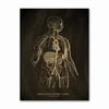 Anatomical Skeleton Chalkboard Poster Kraft Paper Posters DIY Vintage Home Room Medicine Student Decor Medical Art Wall Painting
