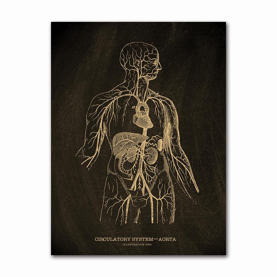 Anatomical Skeleton Chalkboard Poster Kraft Paper Posters DIY Vintage Home Room Medicine Student Decor Medical Art Wall Painting