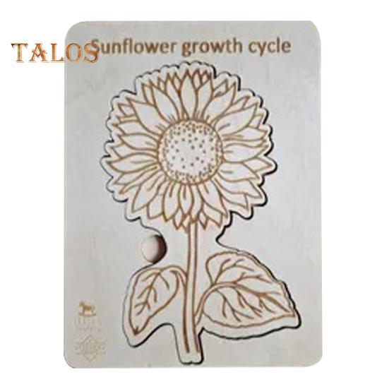 Holzpuzzle Lebenszyklus, mehrschichtiges Tier-Insekten-Pflanzenwachstums-Puzzle, Vorschul-Lernpuzzle, Spielzeug für Kinder, Jungen und Mädchen