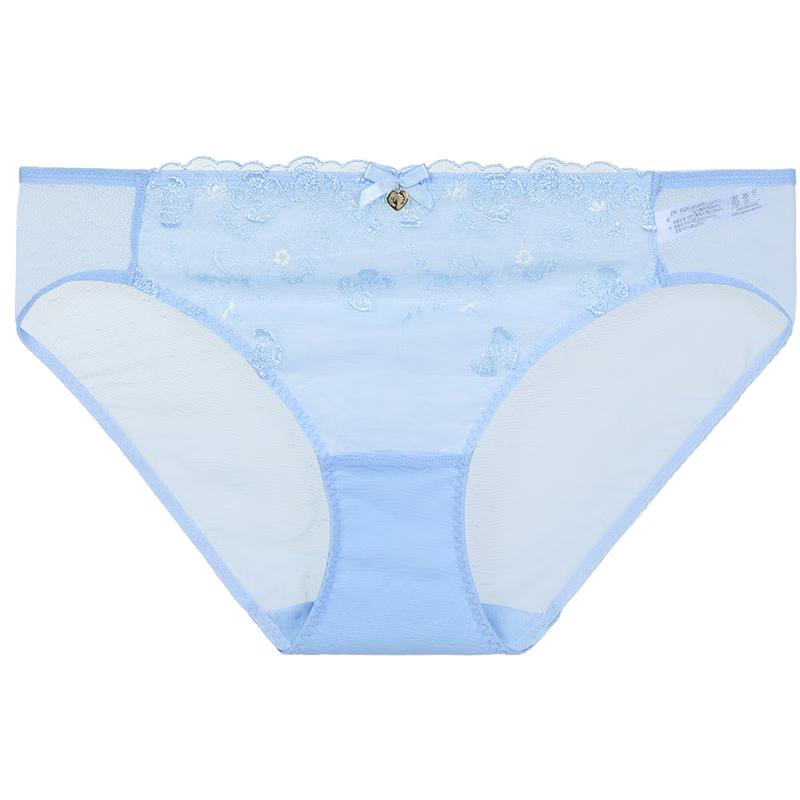 Fandecie Women's Low-Rise Elastic Mesh Briefs