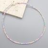 Simple Seed Beads Choker  Women Korean Fashion Charm Colorful Handmade Boho Collar Chain Neck Necklace Femme Jewelry  Gift