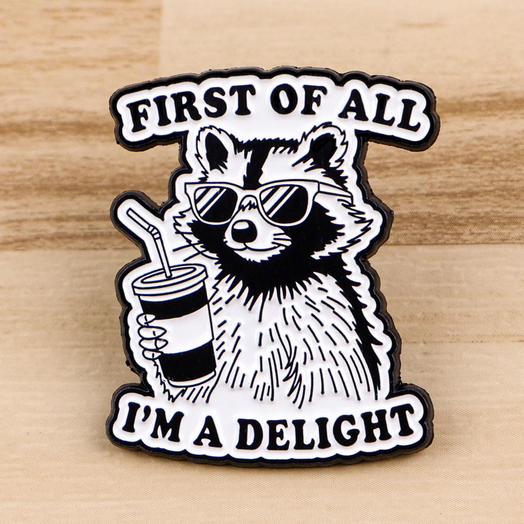 Funny Raccoon Quotes Enamel Pins Cartoon Animals Brooches Lapel Pin Badge On Backpack Clothing Accessories Fashion Jewelry Gifts