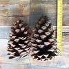 1-18CM Pine Cone Christmas Decorations: Creative Figurines & Photography Props