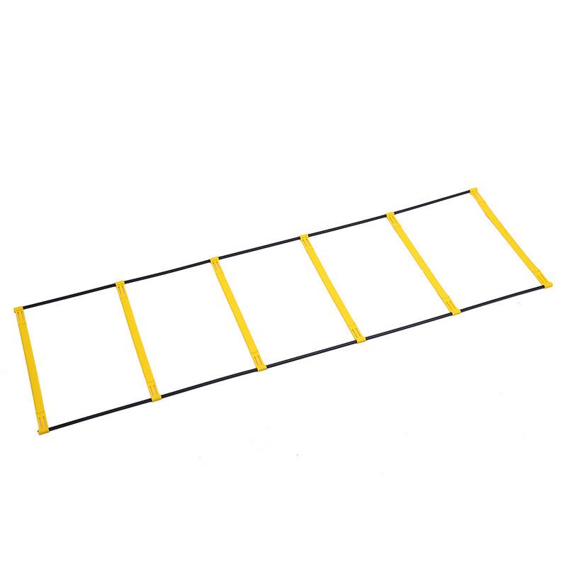 Agility Training Ladder