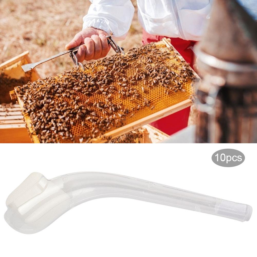 10 Stück Königinnen-Fanglöffel Harmloser Fang Bienenstockwerkzeug Imkerbedarf
