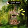 Iron Hanging Bird Feeder Outdoor Heavy Duty Wild Bird Feeder with 3 Cup Large Capacity Squirrel Proof Tray Food Dispenser
