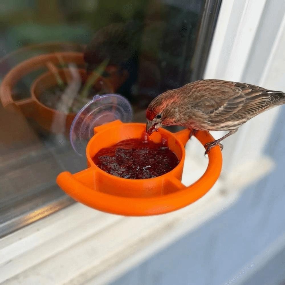 Suction Cup Window Bird Feeder Creative Bird Food Container Bird Feeding Station  Window Mounting