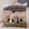 Office Living Room Home Pillowcase Pet Labrador Pattern Pillowcase Car Ornaments