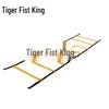 Agility Training Ladder