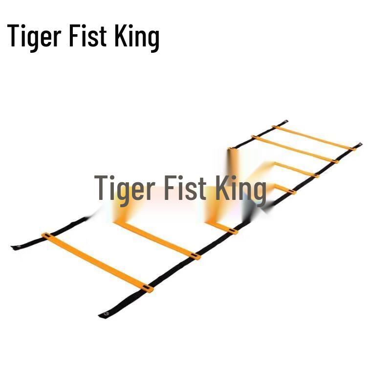 

Agility Training Ladder