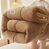 Thickened Milk Velvet Winter Warm Blanket for Bed Queen Size Soft Flannel Quilt Double-Sided Plush Single Double Thick Comforter