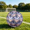 Fotbal – Mingi de fotbal