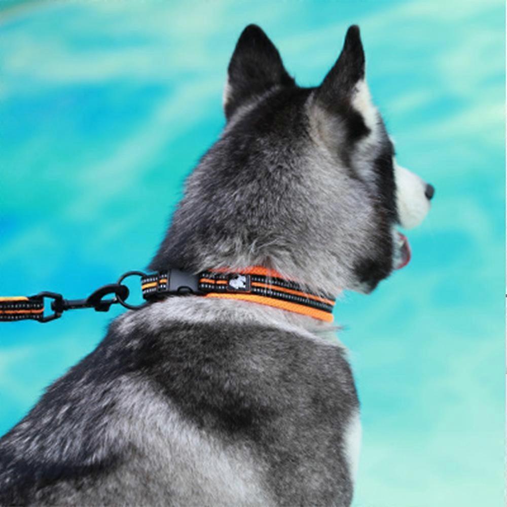 Animals & Pet Supplies > Pet Supplies > Pet Medical Collars