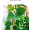 Artificial Rattan Pothos Vine Leaves: Decorative Green Plastic Foliage for Water Pipe and Air Conditioner Covers