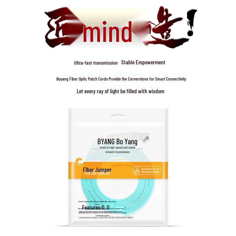 BOYANG 10 Gigabit LC-SC Multimode Duplex Fiber Optic Patch Cable