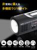 dretec Radio Light, Small, Hand-Crank Flashlight, Compatible with iPhone and Android, for Disaster Preparedness and Emergency Preparedness (Black)