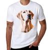 Addy Tshirt Casual Basic Short Sleeve Tshirt