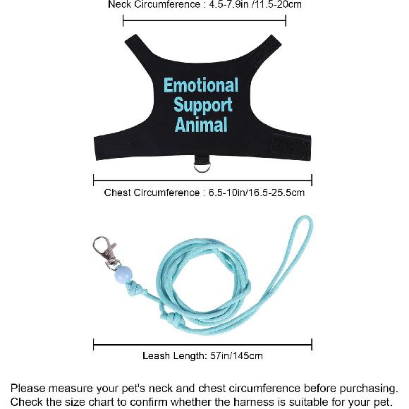 Bearded Dragon Harness and Leash Set Adjustable Reptile Lizard Leash Rope Vest Clothes Starter Kit Accessories for Small Animal Outdoor Walking