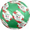 Algeria National Football Logo Size 5 Soccer Ball, Machine-Stitched PVC, Durable & High Bounce, All Ages Fit, Fan Merchandise, Matches & Outdoor Use.