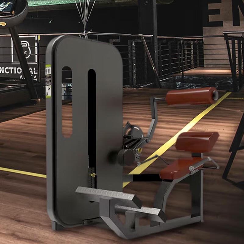 Power Wing Commercial Seated Back Trainer