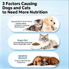 Pet Sheep Milk Powder, Dog Cat Special, Puppy Nutrition, Kitten Calcium Supplement, General Nutritional Supplement