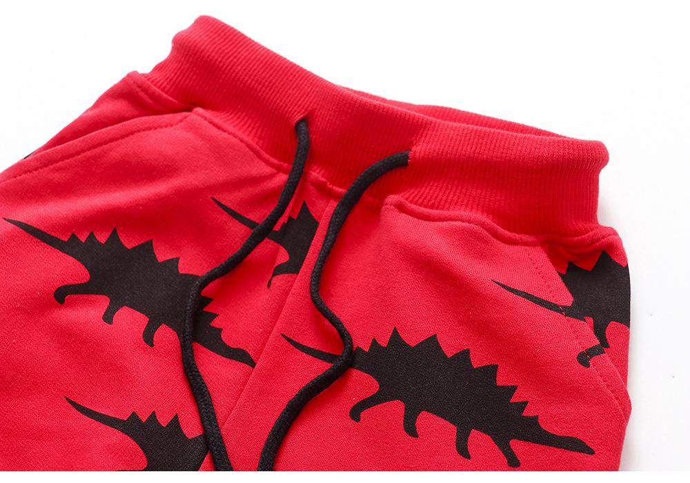 Autumn/Winter Cotton Boys' Knit Sweatpants - European & American Style