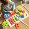 Montessori Toddler Color Sorting Toys 3-in-1 Wooden Shape Stacking Game Early Educational Colorful Learning Activity Blocks