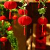 Waterproof Lantern Red Color Small Size Chinese Red Lantern Pendant Style Material Bonsai Pendant Decoration Spring Festival