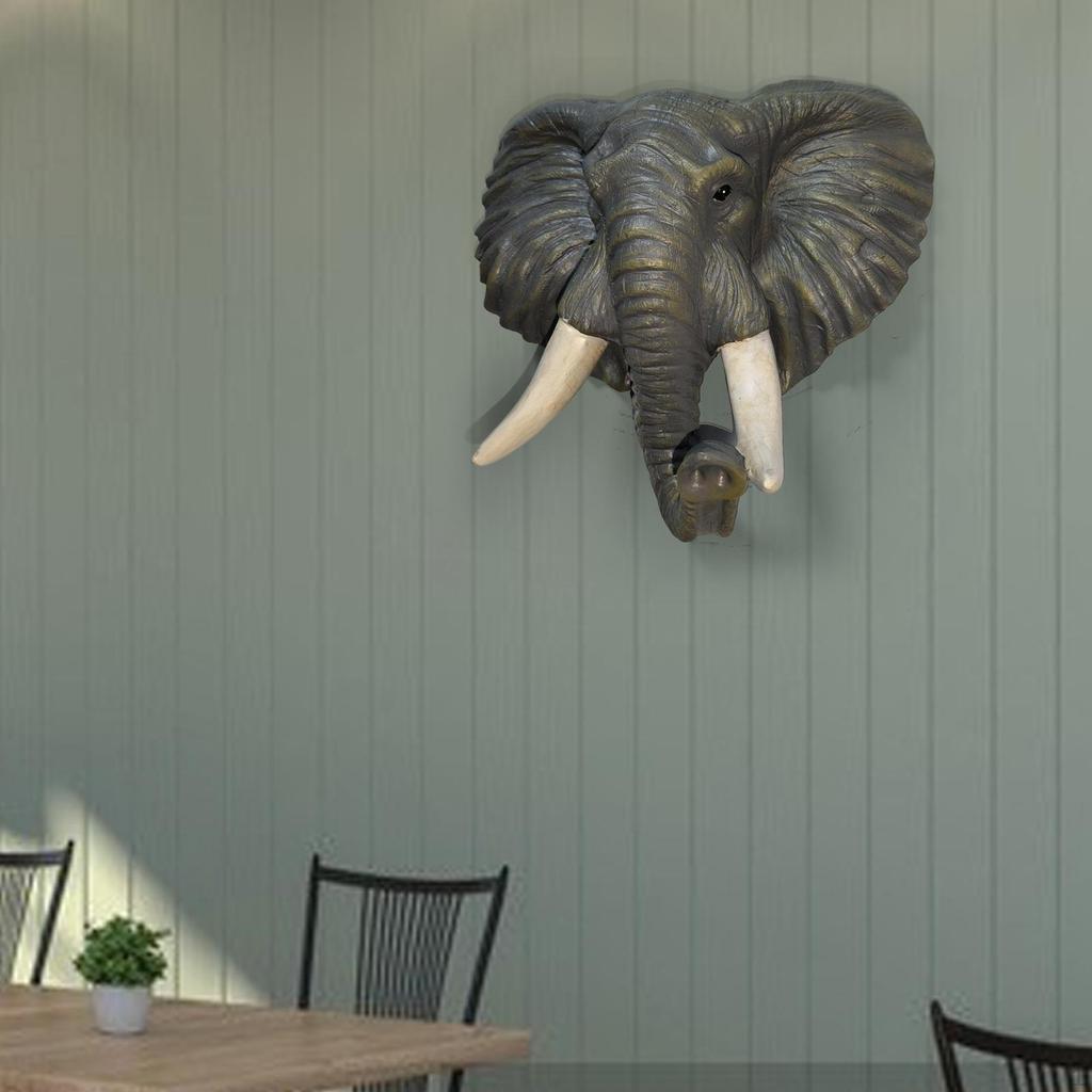 3 Wall Decoration Fine Workmanship for Living 0Cmx9Cmx21.5cm Stylish Addition to Mount Ornament