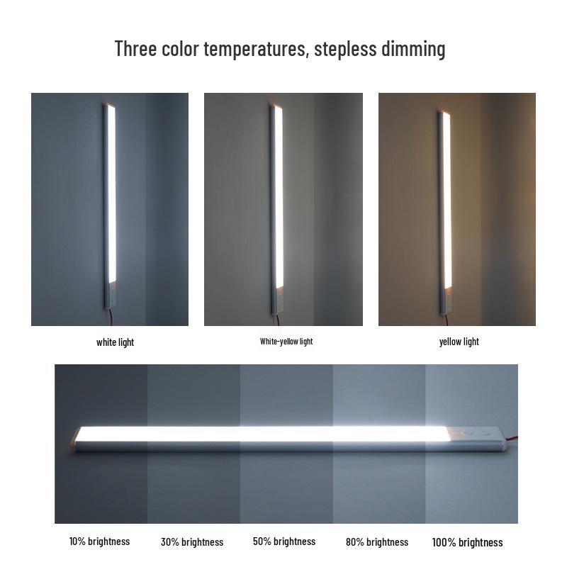 Dual-Color RV LED Interior Light: Roof, Reading, and Truck Cabin Compatible