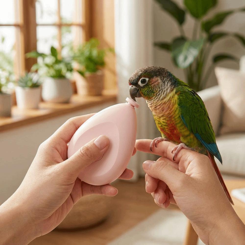 Taille-ongles électrique portable pour perroquet avec 4 têtes de polissage Coupe-ongles pour oiseau Toilettage d'animal de compagnie