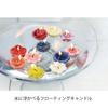 Kameyama Blumen Geschenkset Floating Seasonal aus Pflanzenmaterialien (Pflanzlich) Kerze, Blumen,