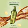 Schwarzkopf Ginger Essence Oil Control & Repair Shampoo
