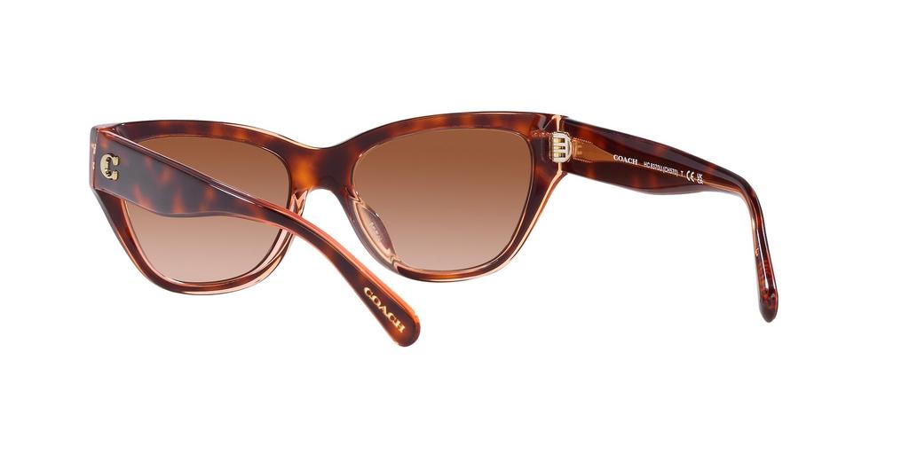 Sunglasses HC8370F CH660 PINK PINK GRADIENT Lens 56 [Coach] TORTOISE/TRANSPARENT Frame/BROWN