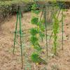 A-shape Garden Climbing Frame Foldable Cucumber Trellis Triangular Vegetable Frame Plastic Coated Steel Frame For Green Beans
