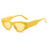 Cross-Border Cat-Eye Flat-Top Glasses with Contrasting Colors: European/American Style, Floral Wide Temples, Trendy Fashion Frame