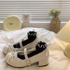 French thick heel small leather shoes women's spring and autumn retro versatile lolita round head Mary Jane low-top single shoes