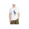 Polo Logo Print Crew Neck Casual Short Sleeve T-Shirt Men T-Shirt White 710767899-001