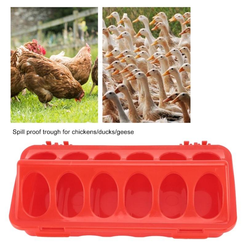 5pcs Flip Top Pigeon Feeder Anti Spill Feeding Tray No Waste No Mess Small Poultry Feeder With Holes For Pigeon Birds Poultry