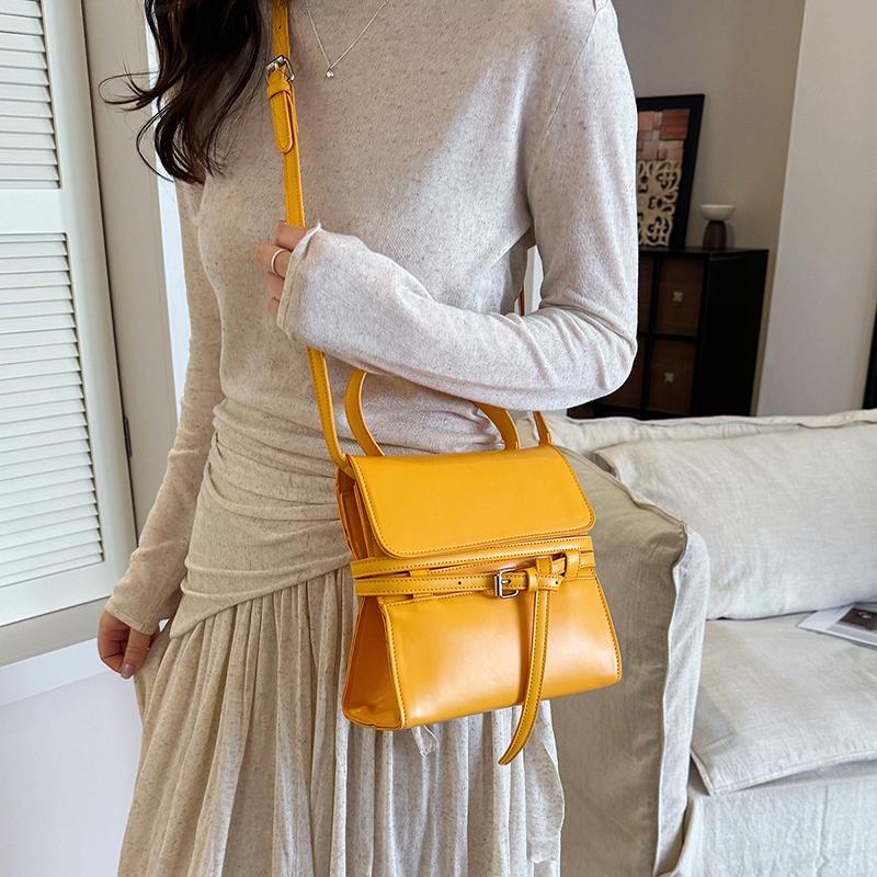 Mini Structured Crossbody Bag with Top Handle and Belt Detail Elegant Women's Shoulder Bag for Daily Use and Fashion Outings